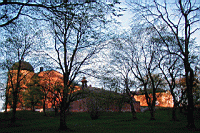 P5050121.jpg
